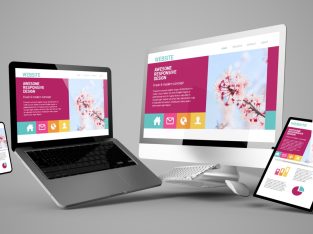 Web_Develpment